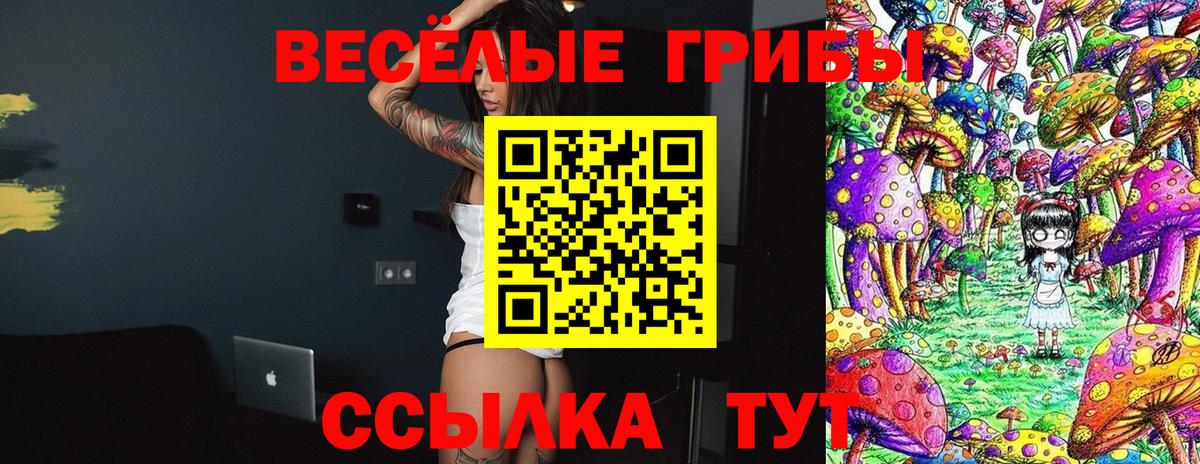 Краснокамск  Галлюциногенные грибы Cubensis  Вход с VPN 